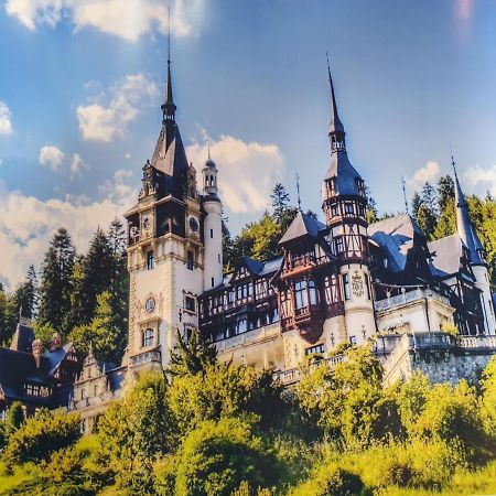 Downtown Park Loft Appartement Sinaia Buitenkant foto