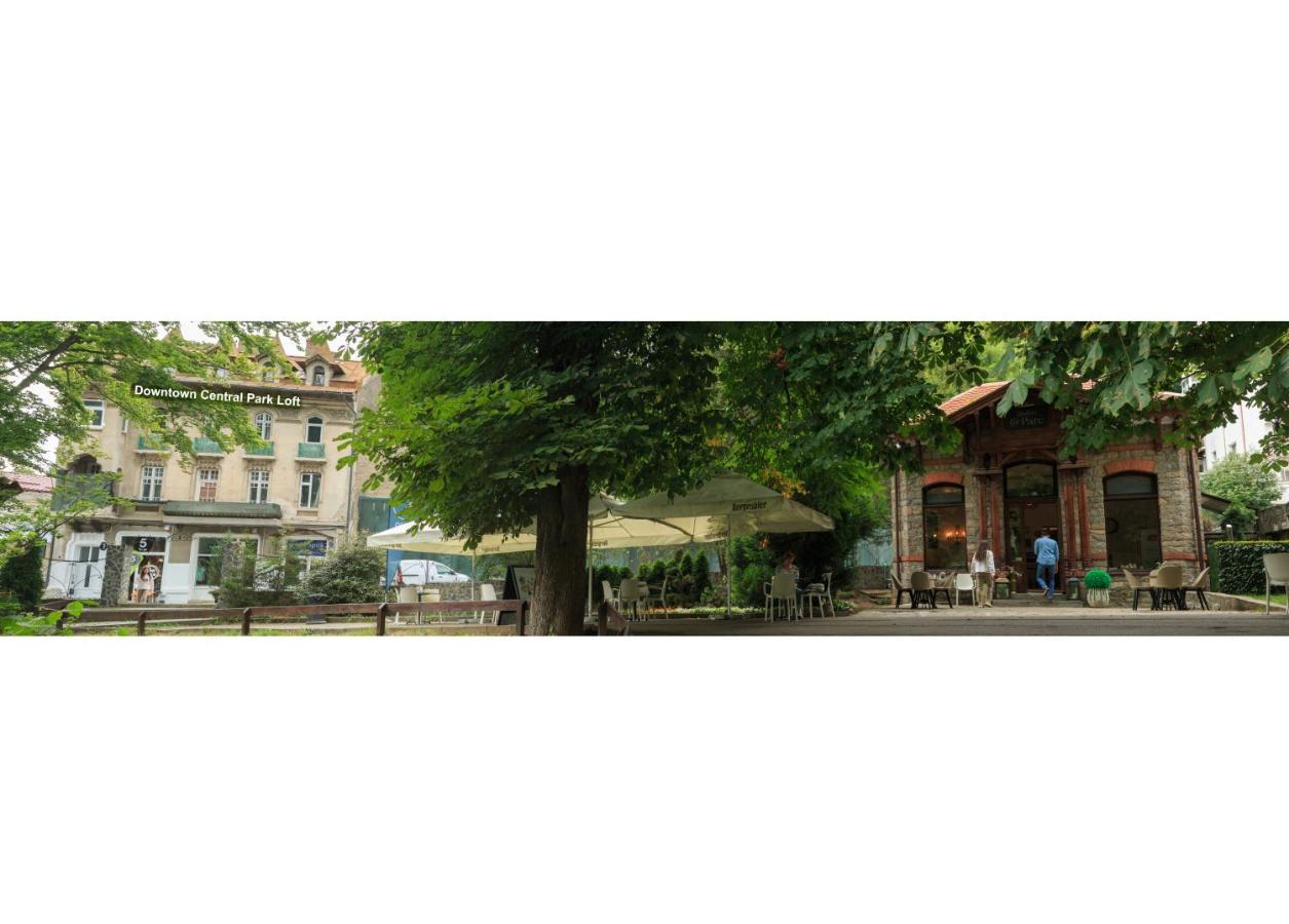 Downtown Park Loft Appartement Sinaia Buitenkant foto