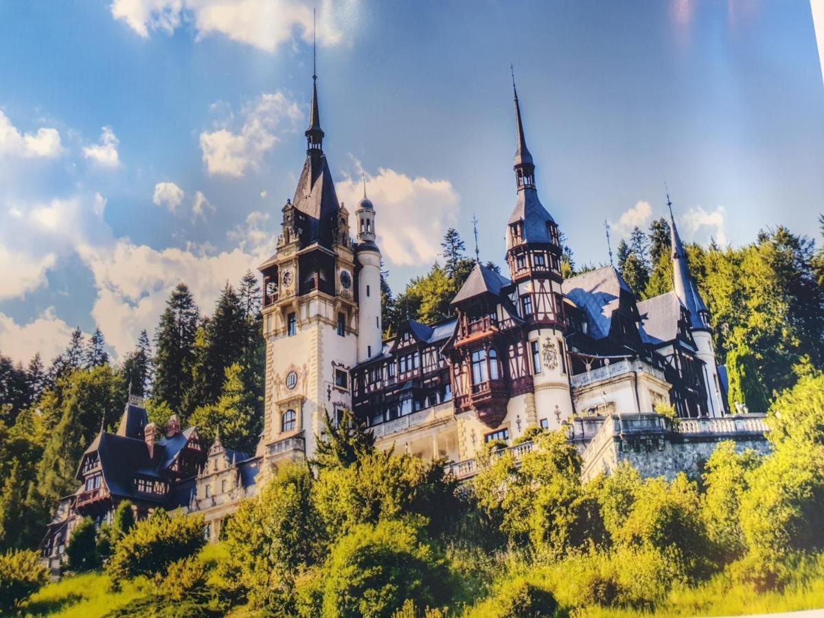 Downtown Park Loft Appartement Sinaia Buitenkant foto